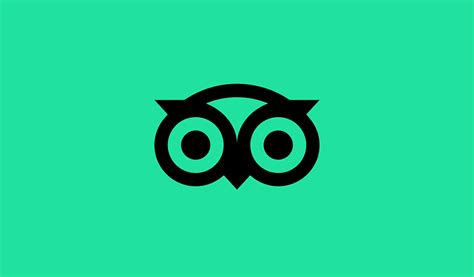 travel website with owl logo.